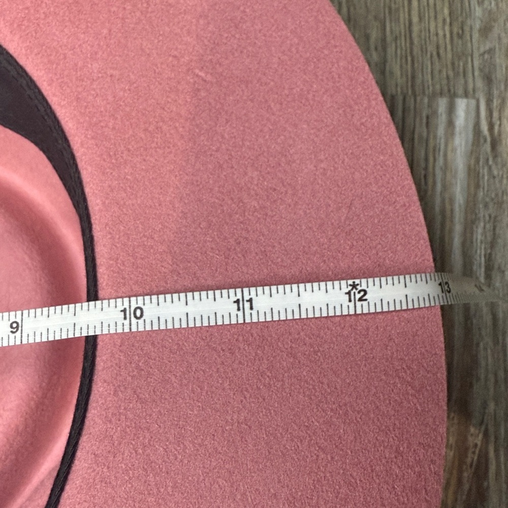 Lack Of Color Dusty Pink Felt Rancher Hat with Feather Trim - Picture 11 of 12